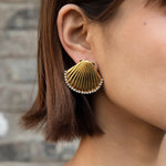 Shell Studs