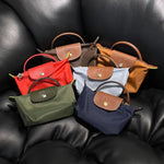 LongChamp Mini Pouch